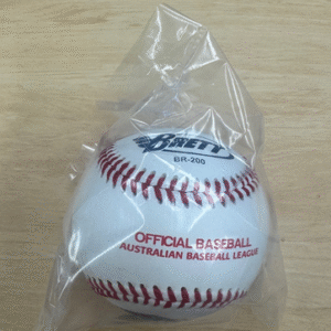 Brett Practices Ball 25/26