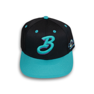 Limited Edition Hat Puple/Teal